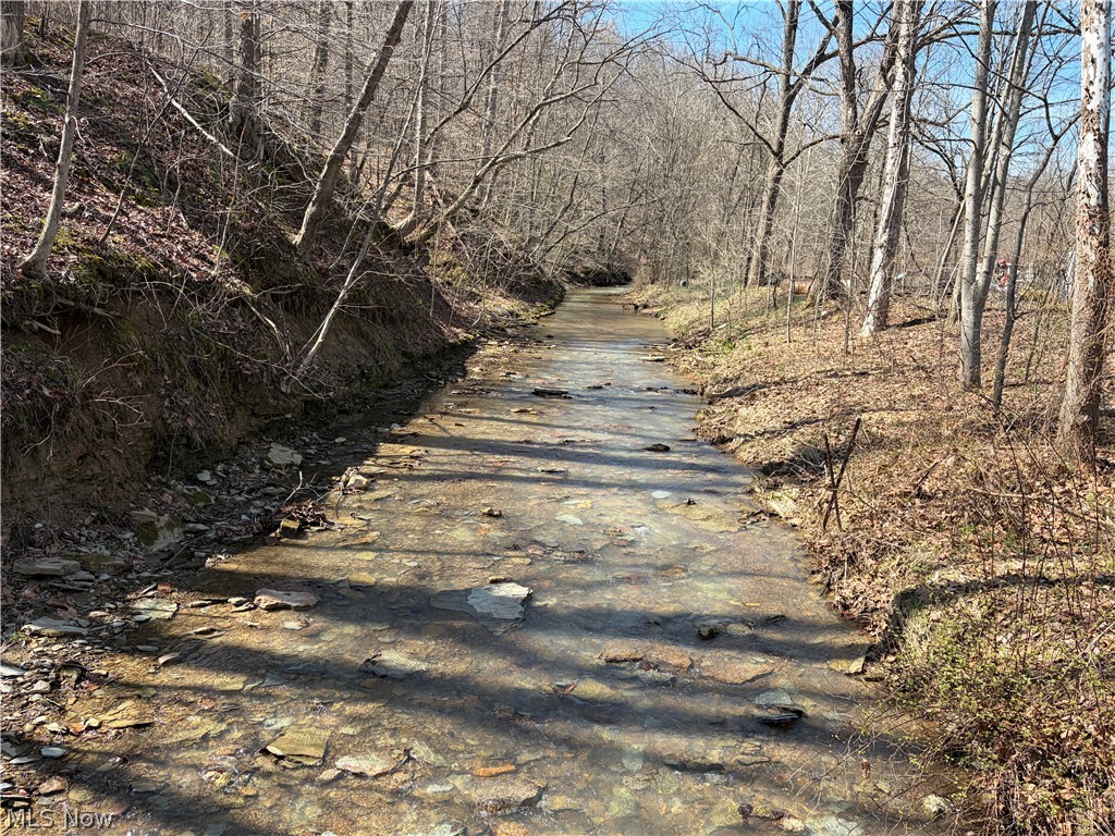 1285 Moody Hollow Road Blue Rock, OH 43720 - Photo 16 of 20 View of road