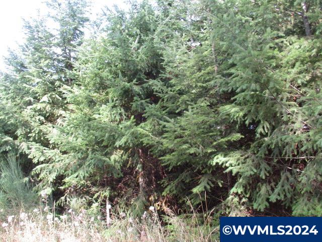 0 Northwest Crane (4) Road Yamhill, OR 97148 - Photo 4 of 12