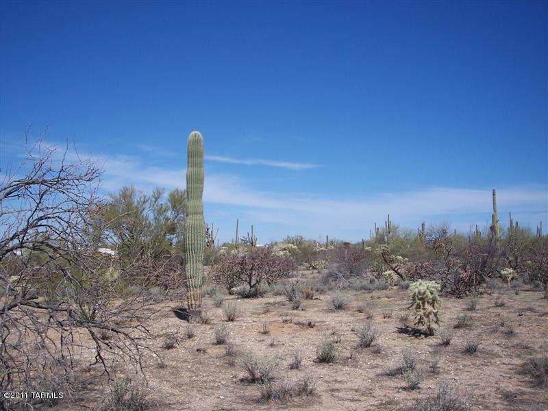Xx South Davis Ranch Road, Unit 5AC Marana, AZ 85658 - Photo 7 of 14