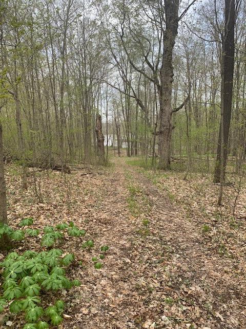 561 Creyts Road Dimondale, MI 48821 - Photo 47 of 55 IMG_5606