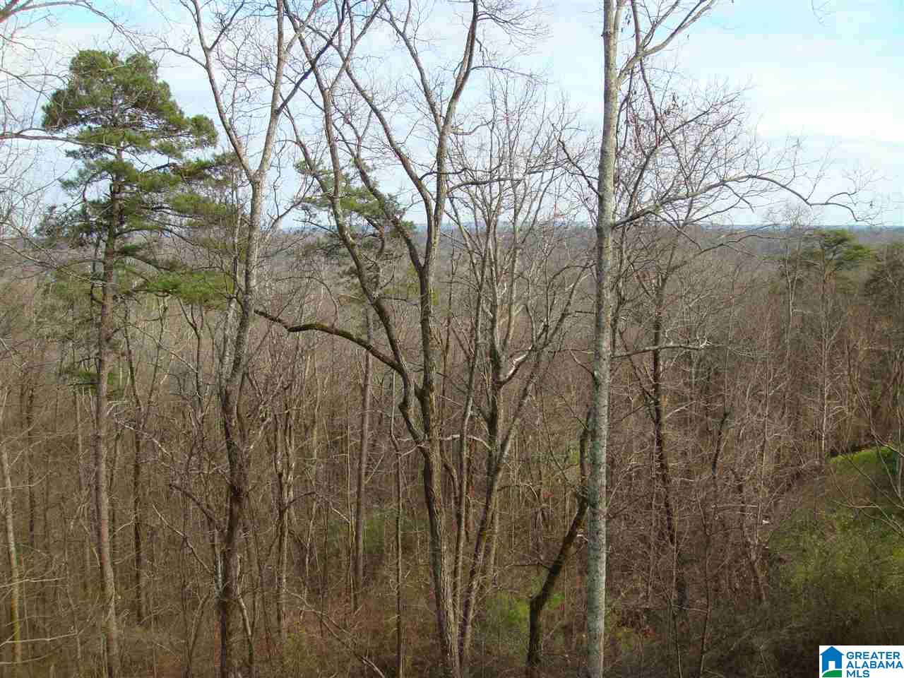 5213 Mountain Ridge Parkway Birmingham, AL 35222 - Photo 36 of 45
