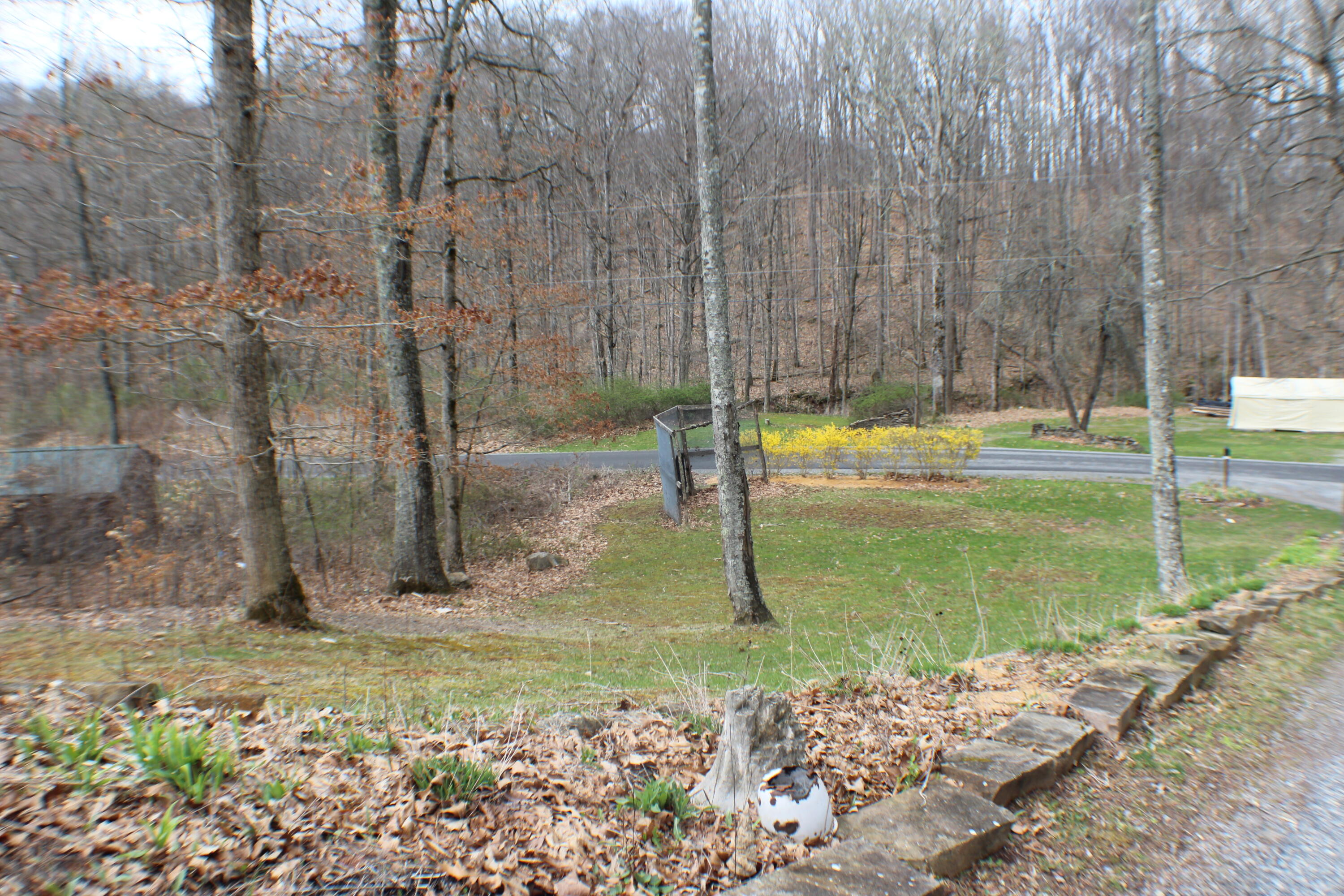 178 Thompson Road Hillsboro, WV 24946 - Photo 6 of 32 Gallery Image 6