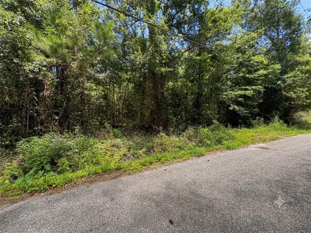 0 Dumas Road Slidell, LA 70460 - Photo 2 of 4