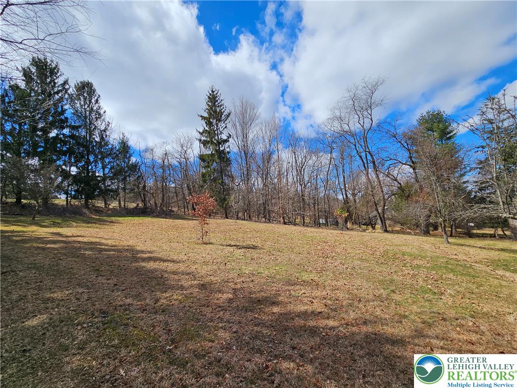 205 Valley View Road Hellertown, PA 18055 - Photo 27 of 27 Rear yard