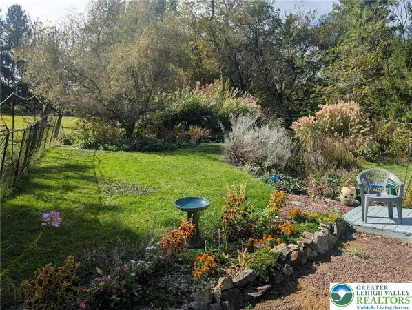 a view of a garden with plants