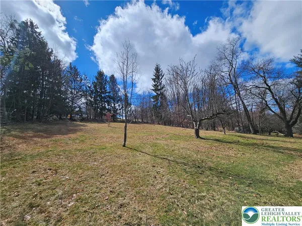 a view of a field with trees
