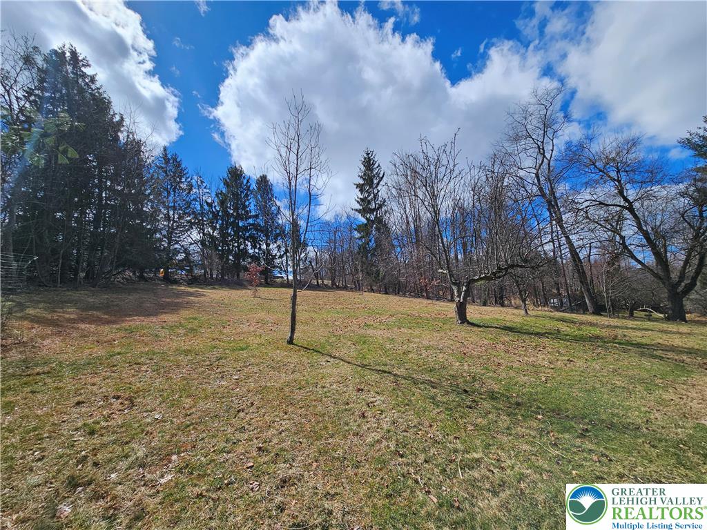 205 Valley View Road Hellertown, PA 18055 - Photo 5 of 27 Rear yard