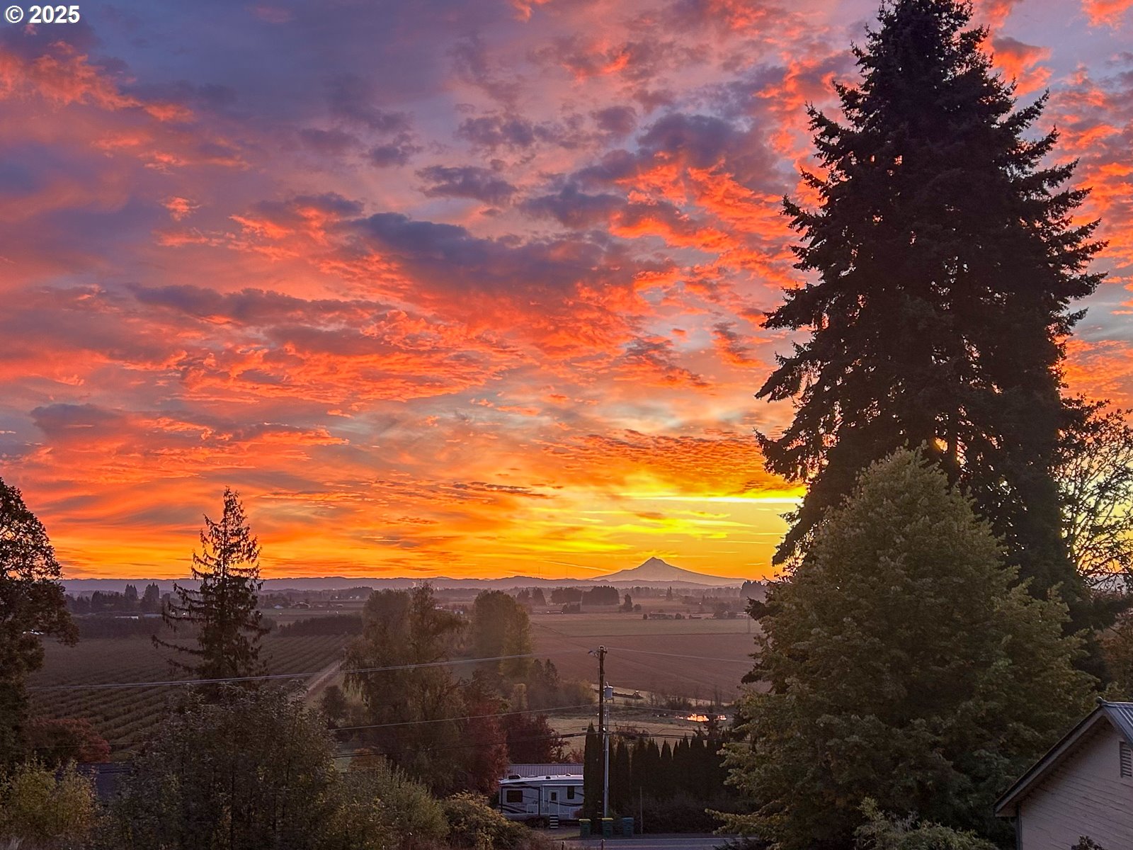 3934 Coho Circle Forest Grove, OR 97116 - Photo 12 of 48