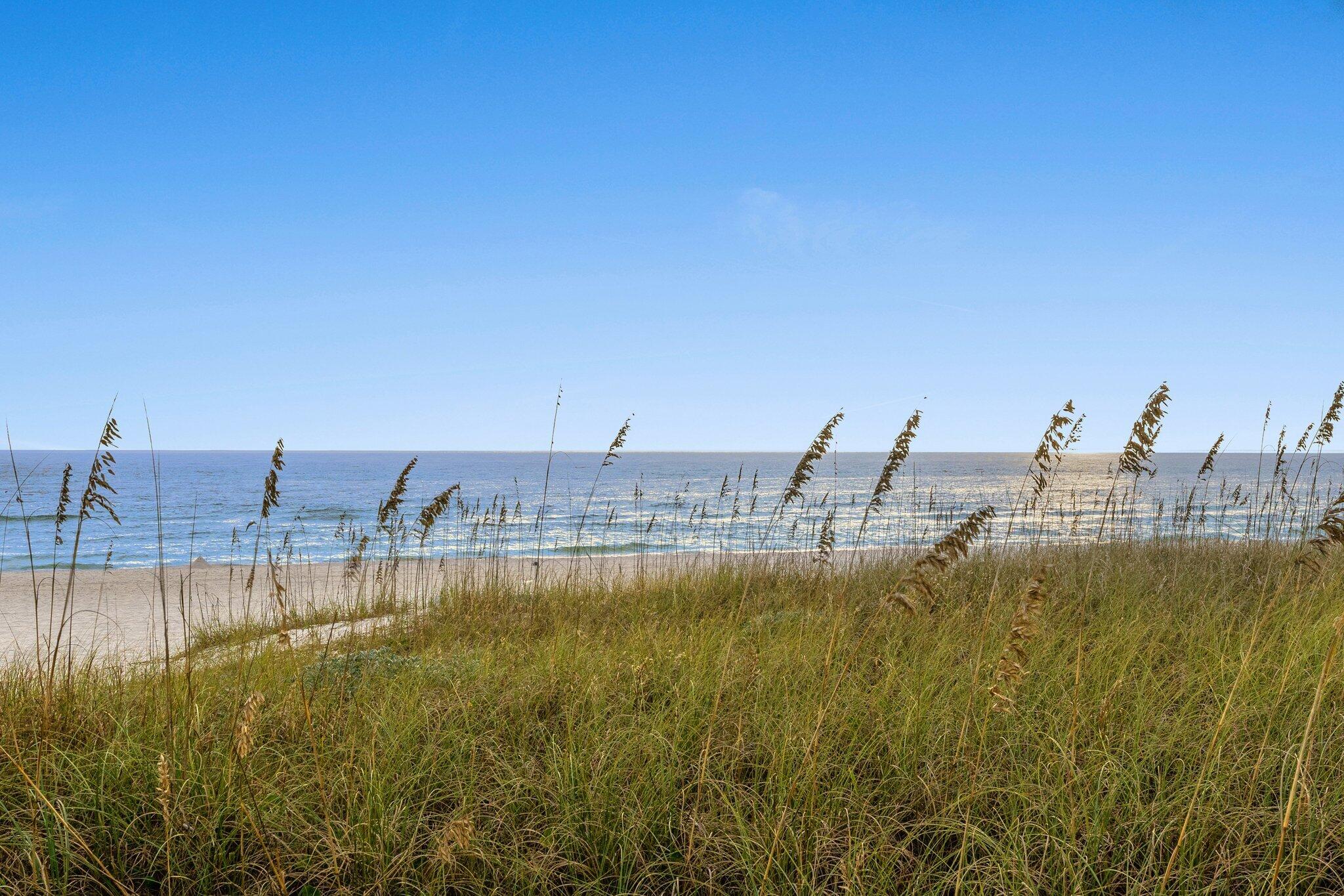 157 West Willow Mist Road Inlet Beach, FL 32461 - Photo 59 of 59 a view of a swimming pool with an ocean view