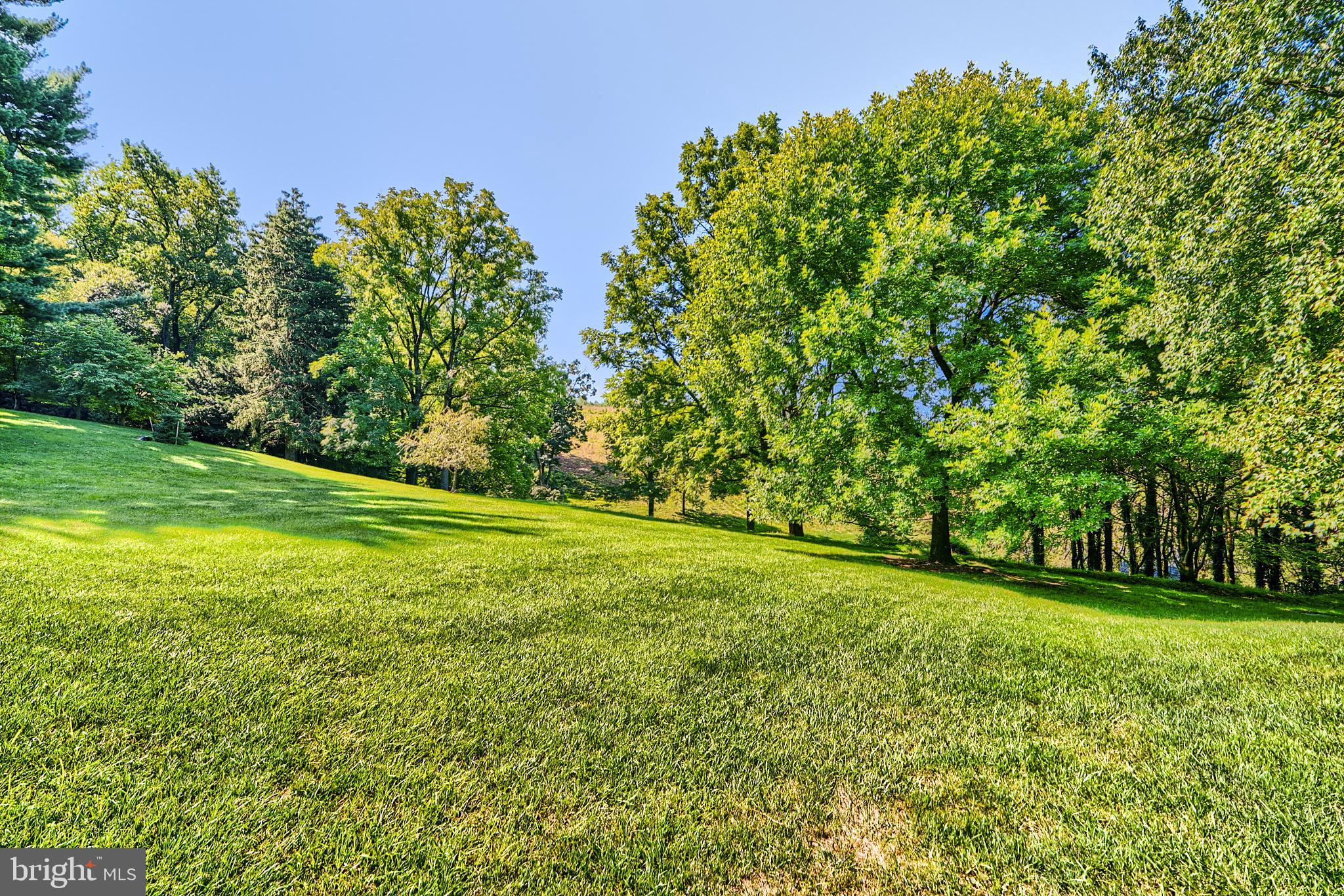 7 Devon Hill Road, Unit A6 Baltimore, MD 21210 - Photo 54 of 61 a view of a field of grass and trees