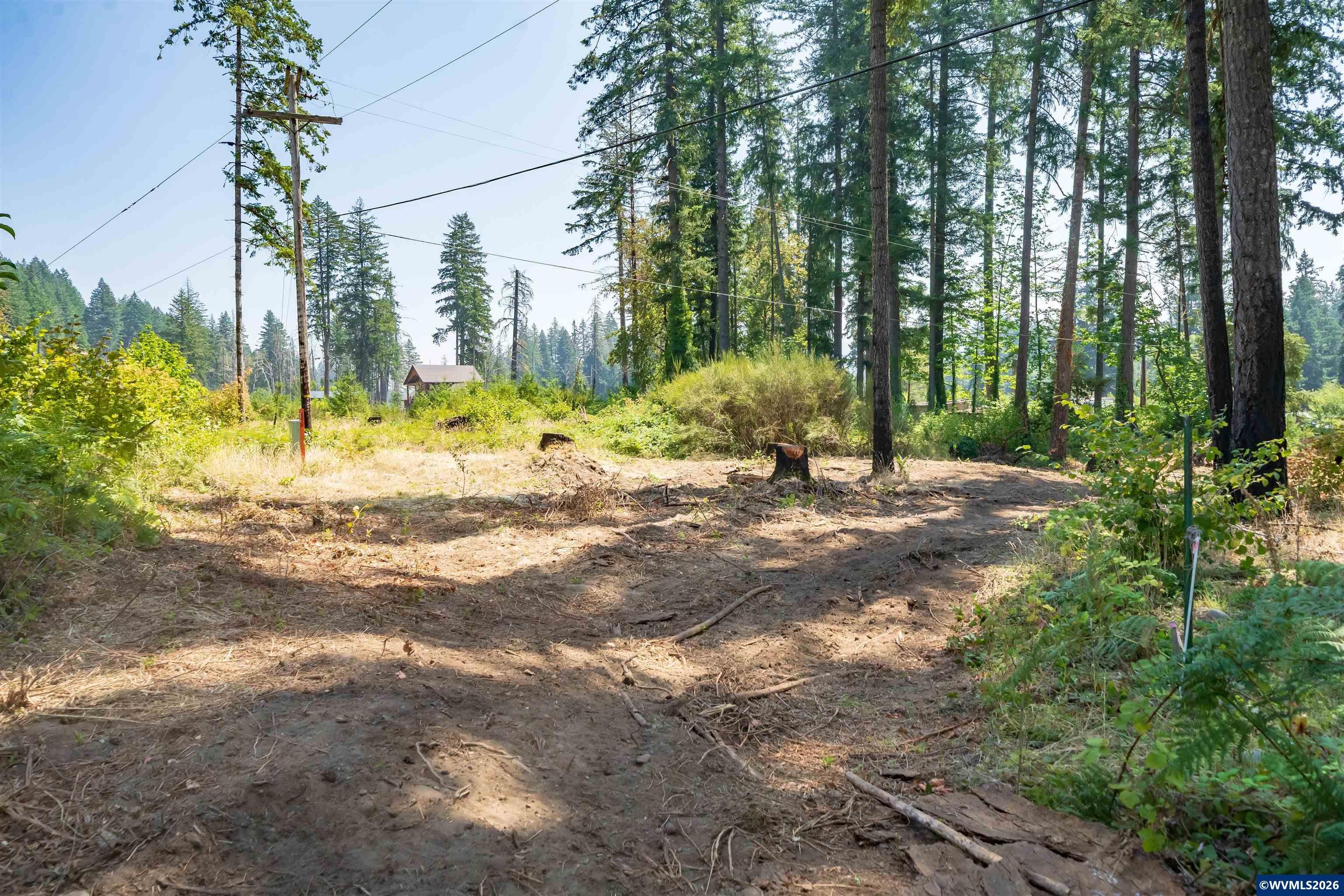 Lot 1101 Santiam Park Road Lyons, OR 97358 - Photo 8 of 18 Gallery Image 8