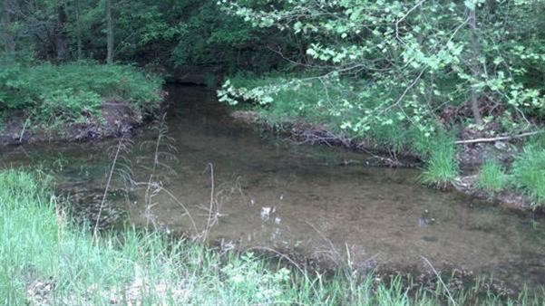 0 County Road Ava, MO 65608 - Photo 1 of 1 Primary Photo