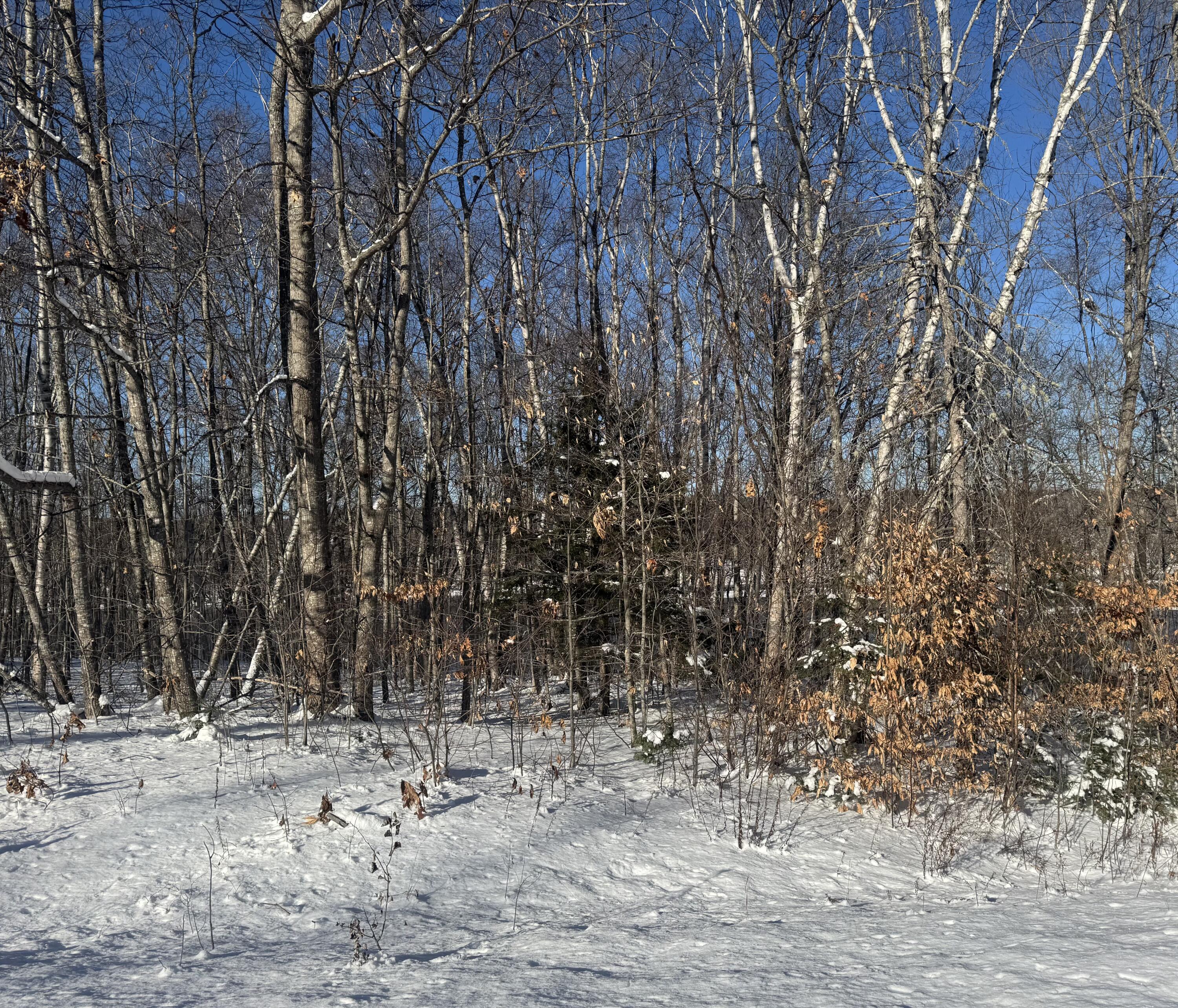 154 Highway 2 Kingman, ME 04451 - Photo 6 of 16 IMG_2953