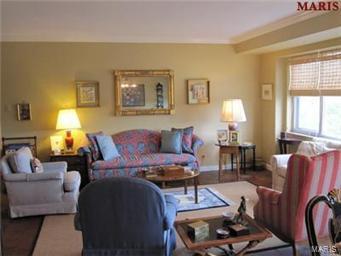 710 South Hanley Road, Unit 7B Clayton, MO 63105 - Photo 4 of 10