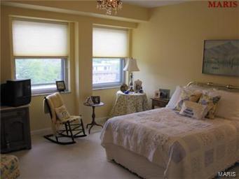 710 South Hanley Road, Unit 7B Clayton, MO 63105 - Photo 8 of 10