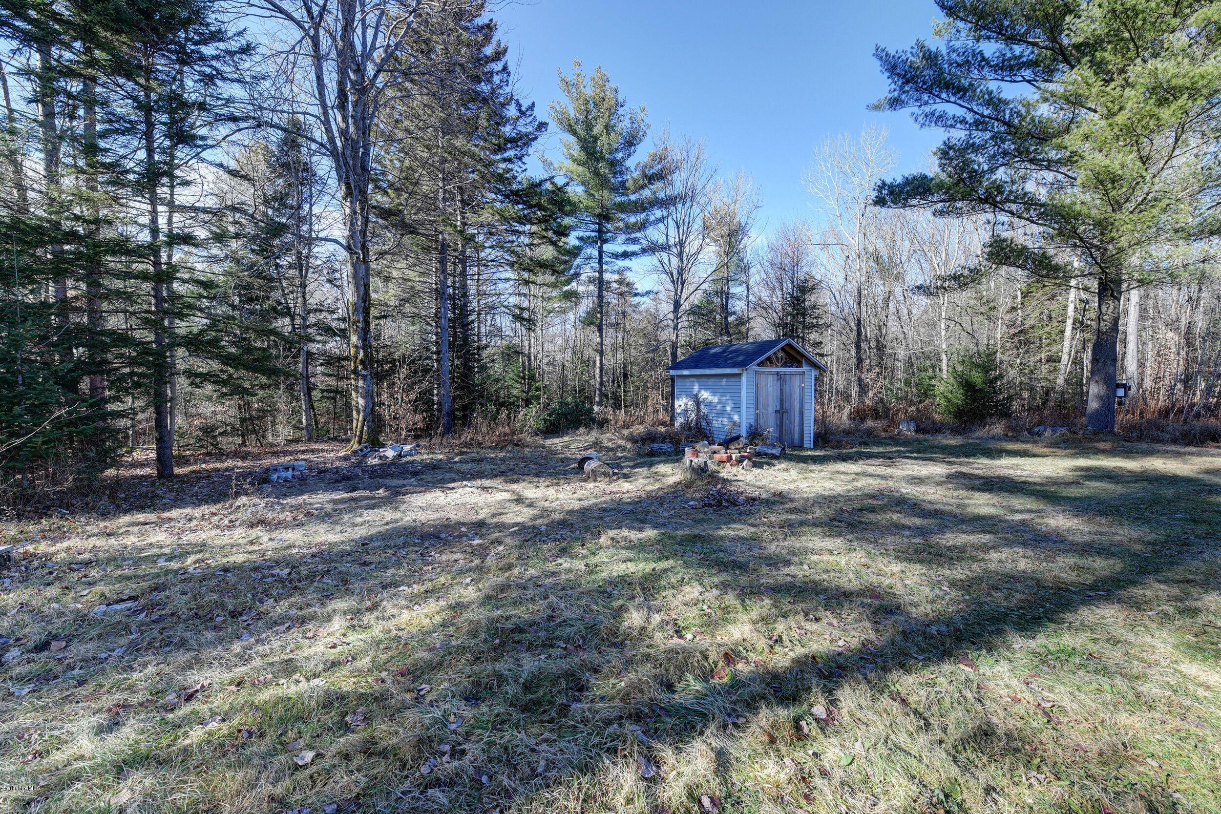 548 Loop Road Savoy, MA 01256 - Photo 10 of 12 a view of backyard with tree