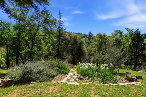 $650,000 | 3525 Thorson Drive, Placerville, CA 95667