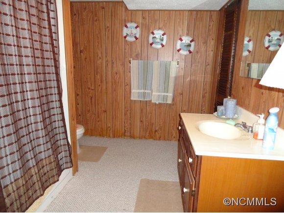 313 Saunook Road Waynesville, NC 28786 - Photo 15 of 22