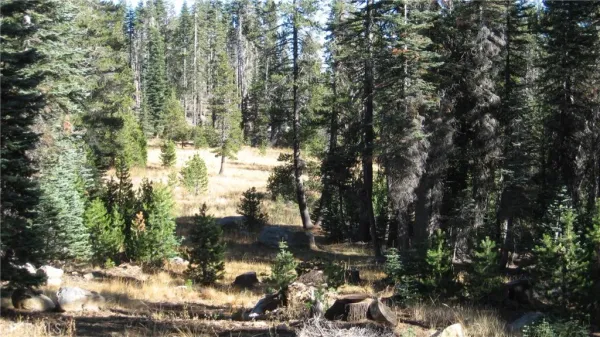 $12,000 | 0 Sugar Pine, Rackerby, CA 95972