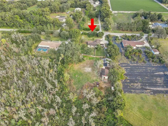 a view of a garden with plants