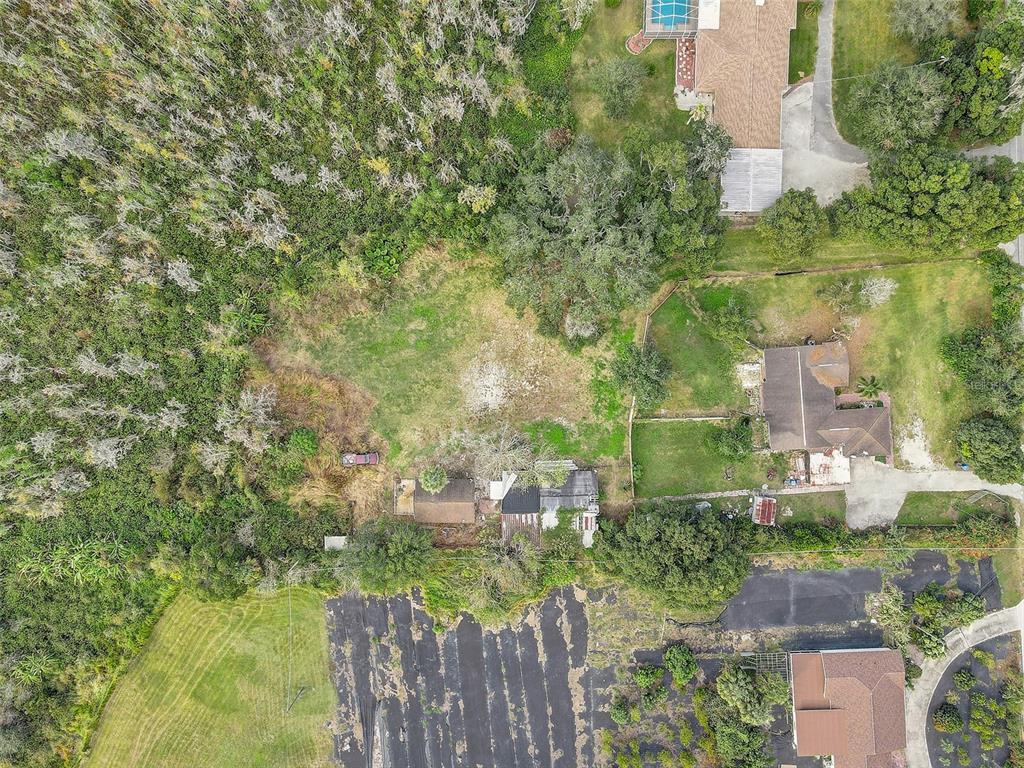 3510 Moores Lake Road Dover, FL 33527 - Photo 13 of 16 a view of a garden with plants