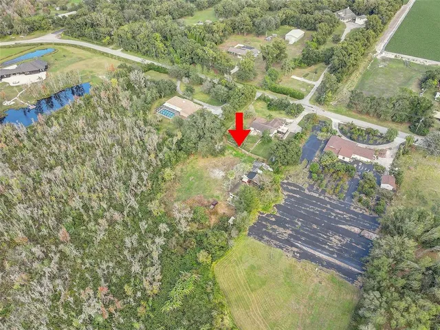 an aerial view of green landscape with trees and houses