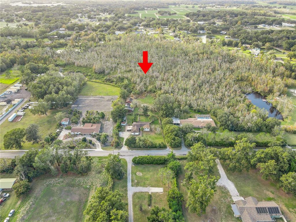 3510 Moores Lake Road Dover, FL 33527 - Photo 8 of 16 an aerial view of residential houses with outdoor space and trees
