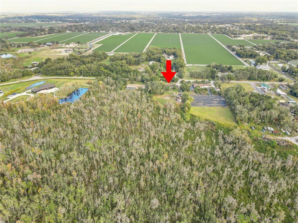 3510 Moores Lake Road Dover, FL 33527 - Photo 9 of 16 a view of a city