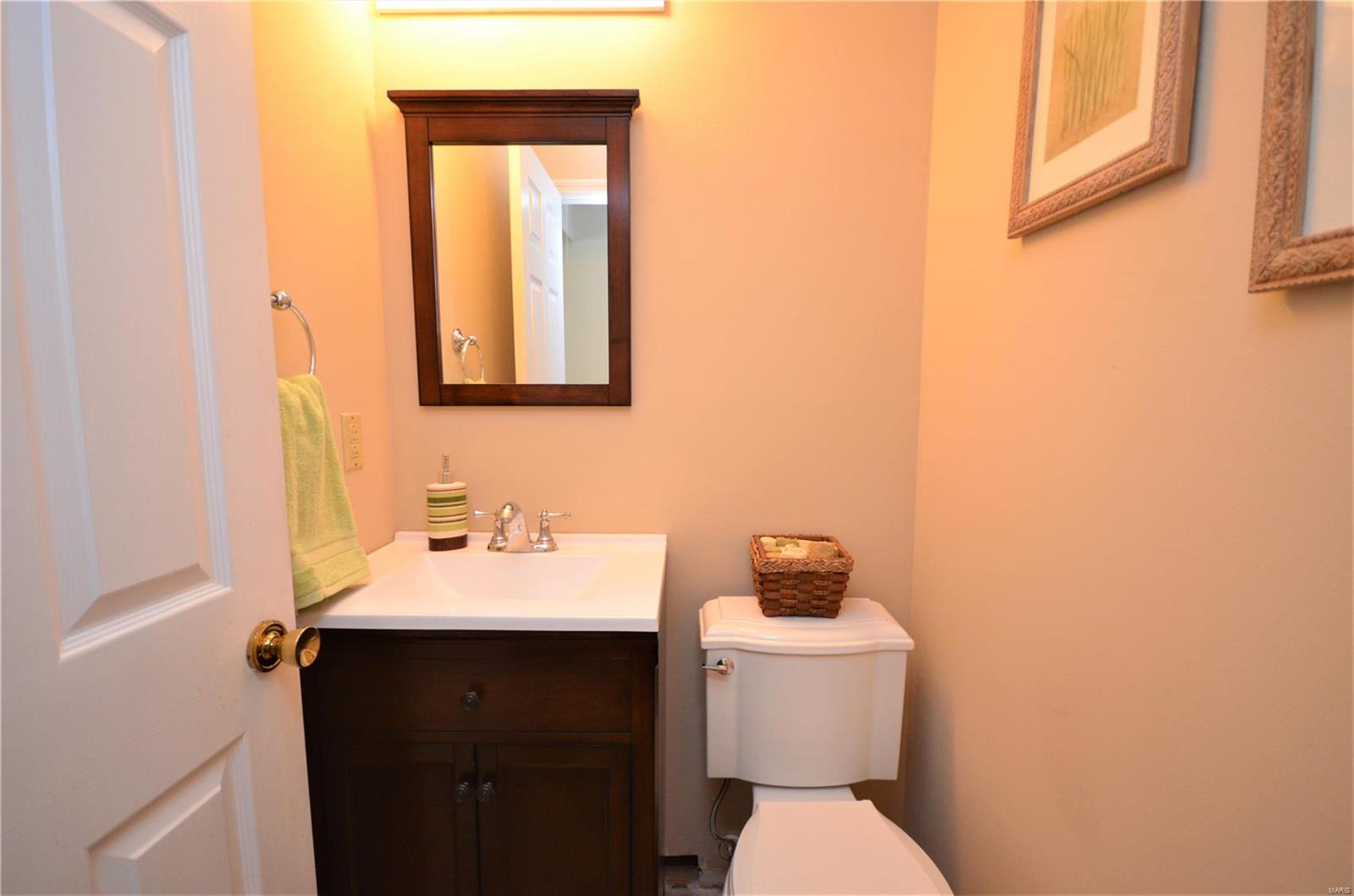 17 Lippizan Road St. Peters, MO 63376 - Photo 3 of 19