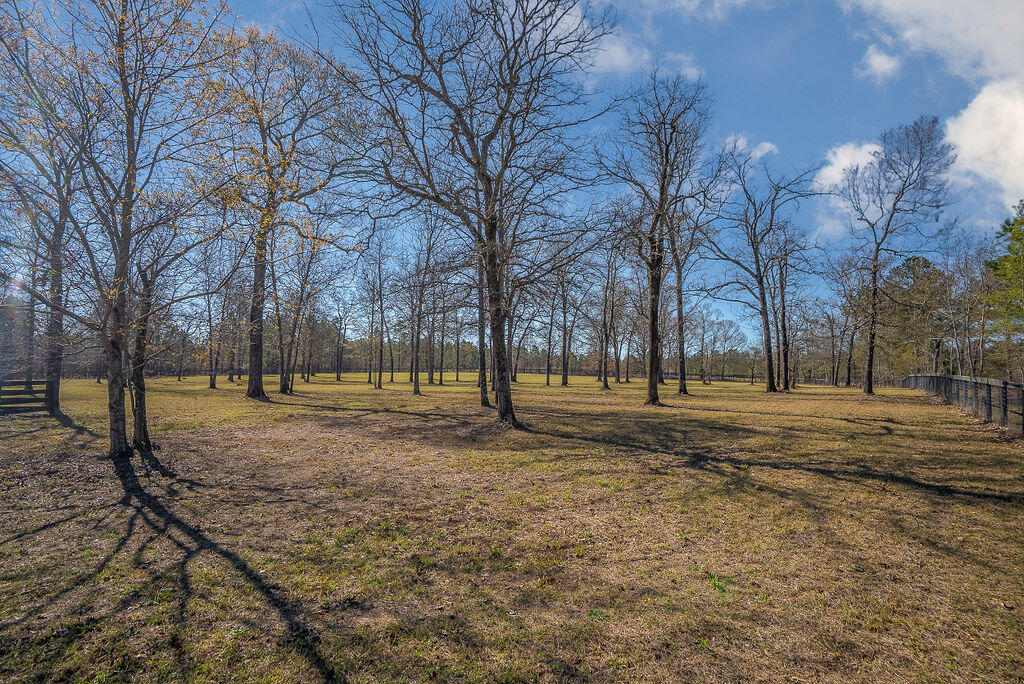 411 Bluffwood Road Wagener, SC 29164 - Photo 16 of 23