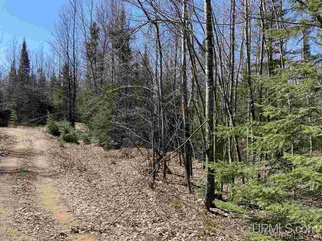 Tbd Tbd Off Powerline Gwinn, MI 49841 - Photo 1 of 28