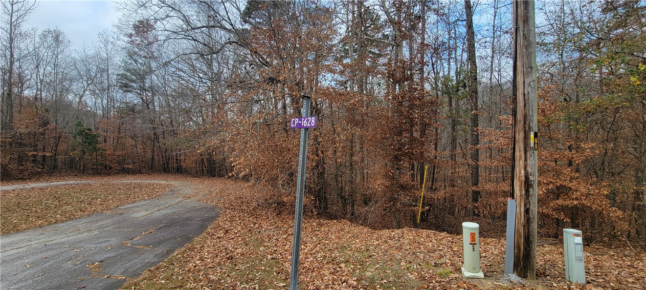 0 Gum Court Westminster, SC 29693 - Photo 9 of 22