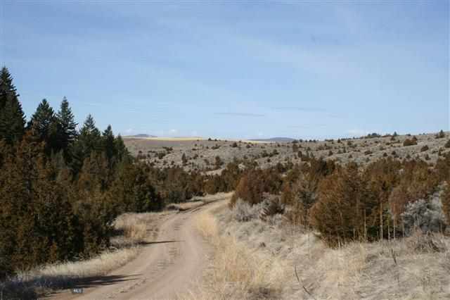 53 Skyline Road Three Forks, MT 59752 - Photo 1 of 1 Gallery Image 1