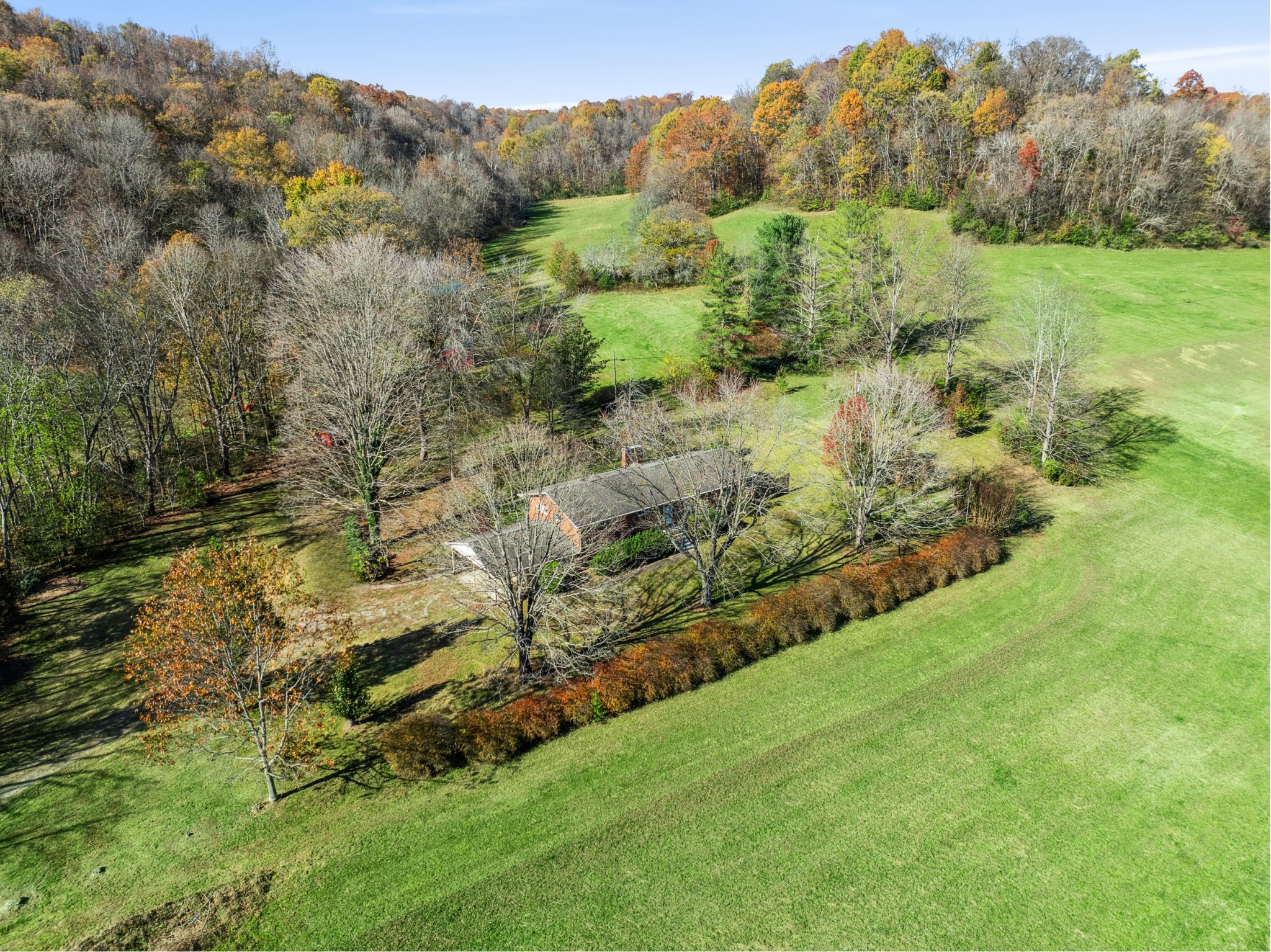 2621 Knob Creek Road Columbia, TN 38401 - Photo 4 of 9 a view of a lush green forest with trees and houses