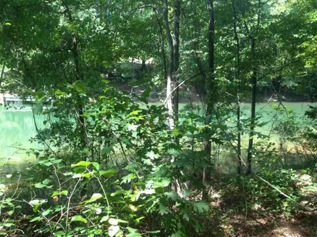 Lot 2 Laurel Ridge, Unit WOODS EDGE DRIVE Seneca, SC 29672 - Photo 2 of 2 Gallery Image 2