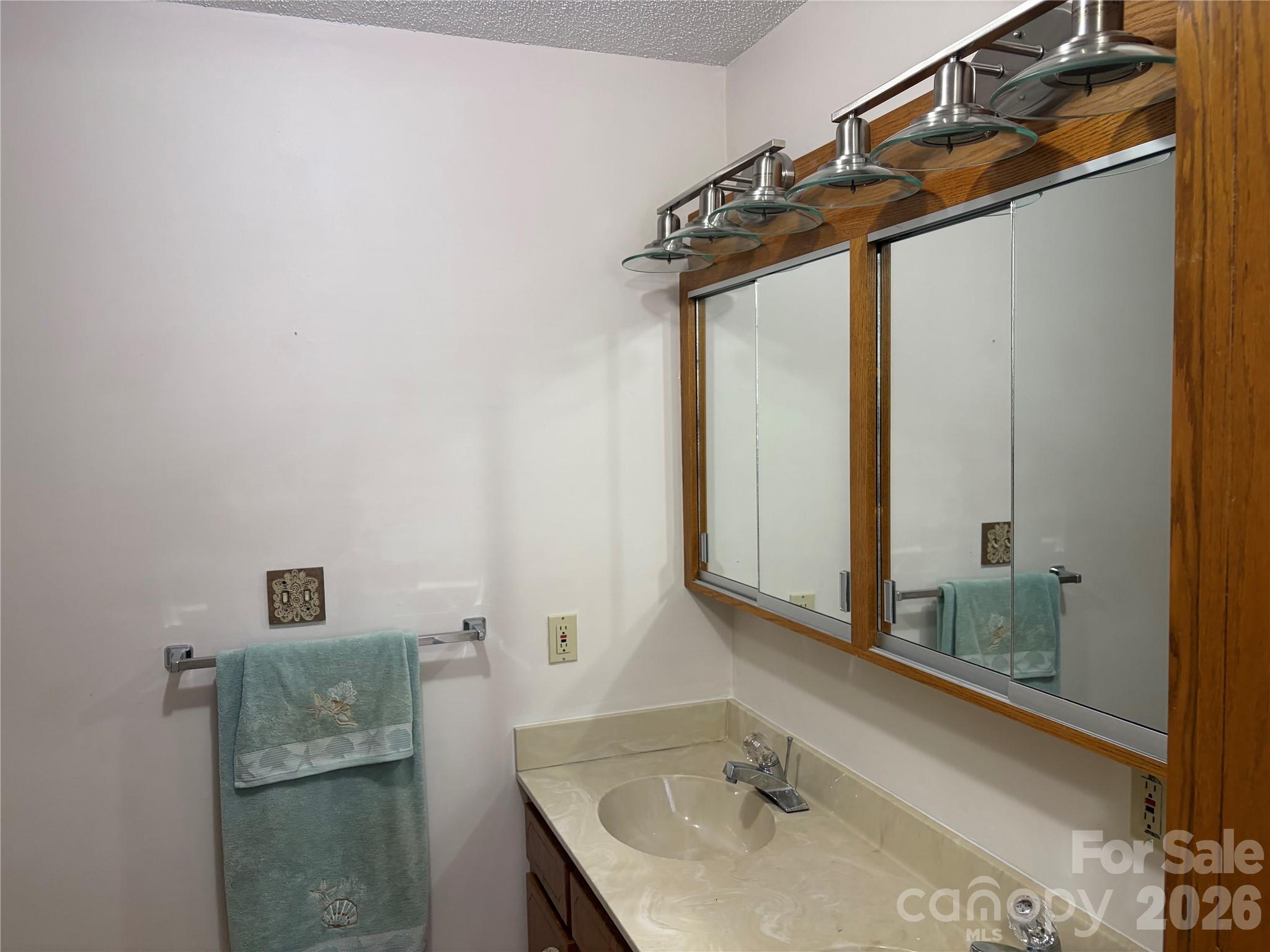 256 A Bruce Road Mars Hill, NC 28754 - Photo 26 of 39 a bathroom with a sink and a mirror