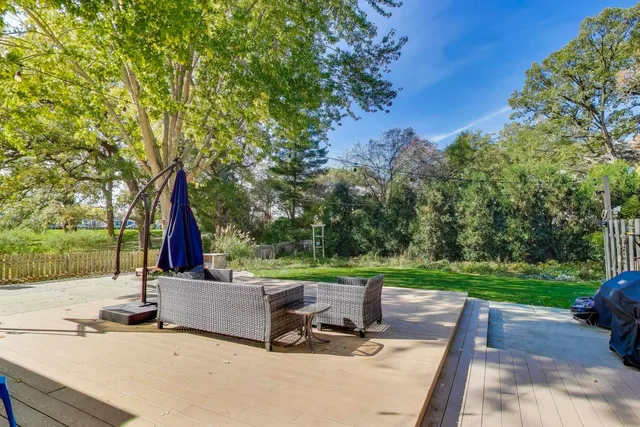 a view of a park with large trees