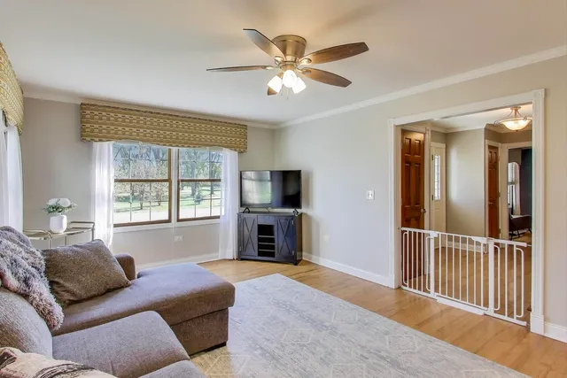 a living room with furniture a ceiling fan and a rug