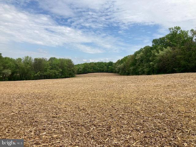 2995 Sams Creek Road New Windsor, MD 21776 - Photo 104 of 126 a view of outdoor space and a lake view