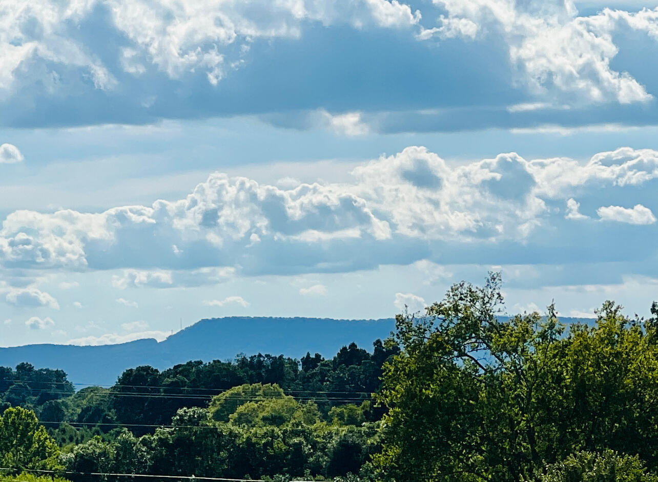 81 Arnold Road Rock Spring, GA 30739 - Photo 44 of 60 IMG_0041