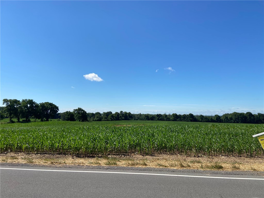 Lot#3 Reed Road Bergen, NY 14416 - Photo 1 of 1 Gallery Image 1