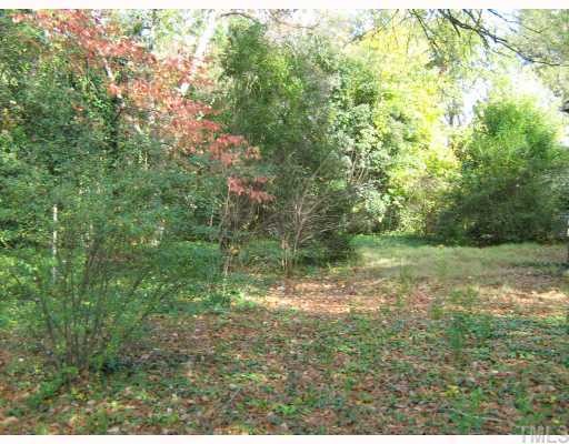 Lot 15 Davis, Unit 15 Raleigh, NC 27608 - Photo 1 of 5 a big yard with lots of green space