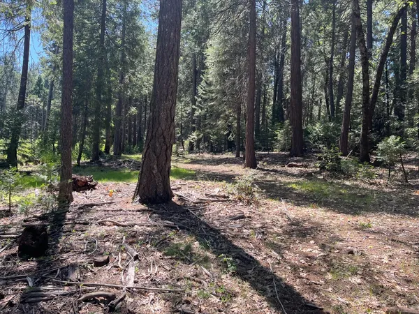 $200,000 | Jones Ridge Road, Nevada City, CA 95959