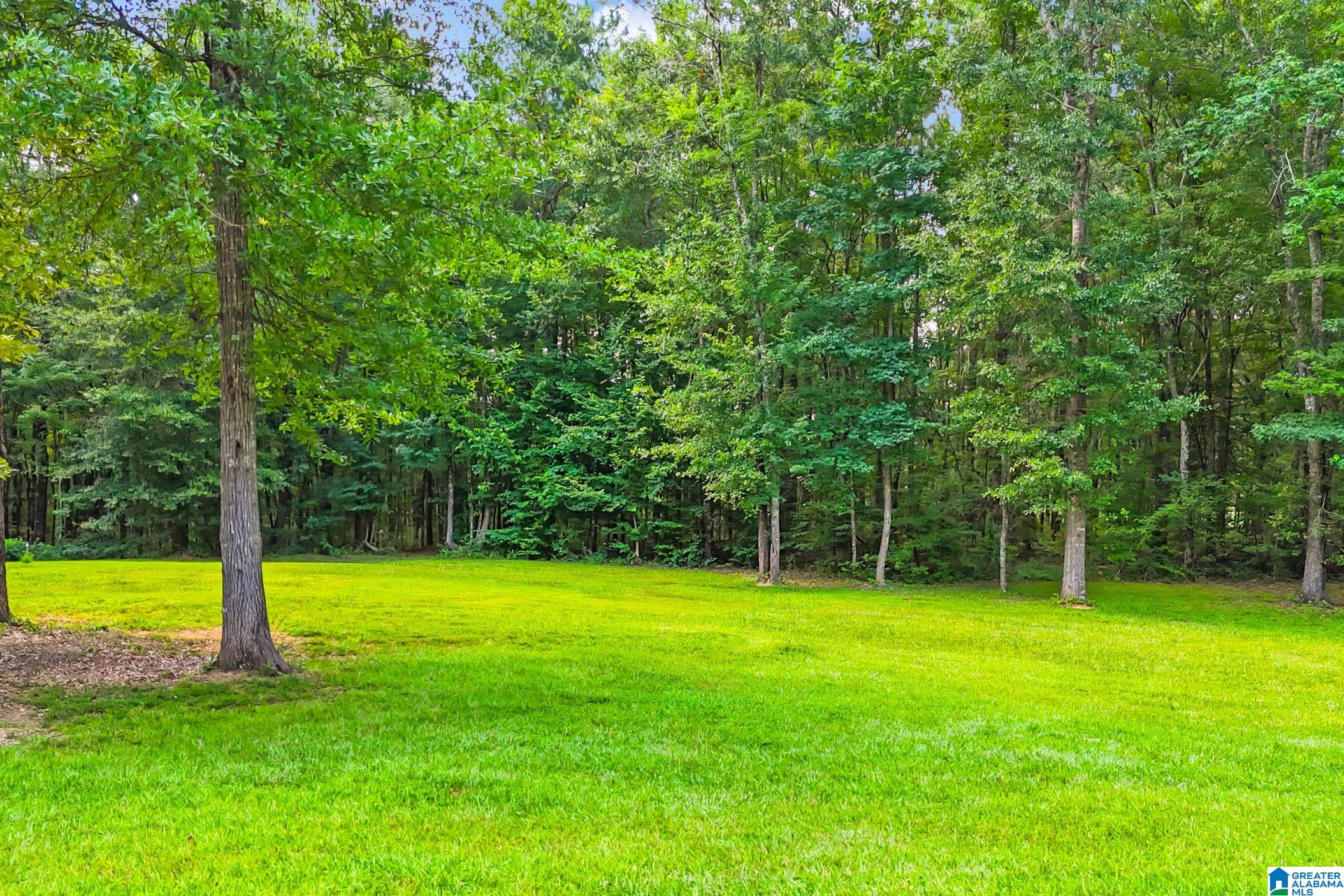 931 Newsome Road Wilsonville, AL 35186 - Photo 11 of 79