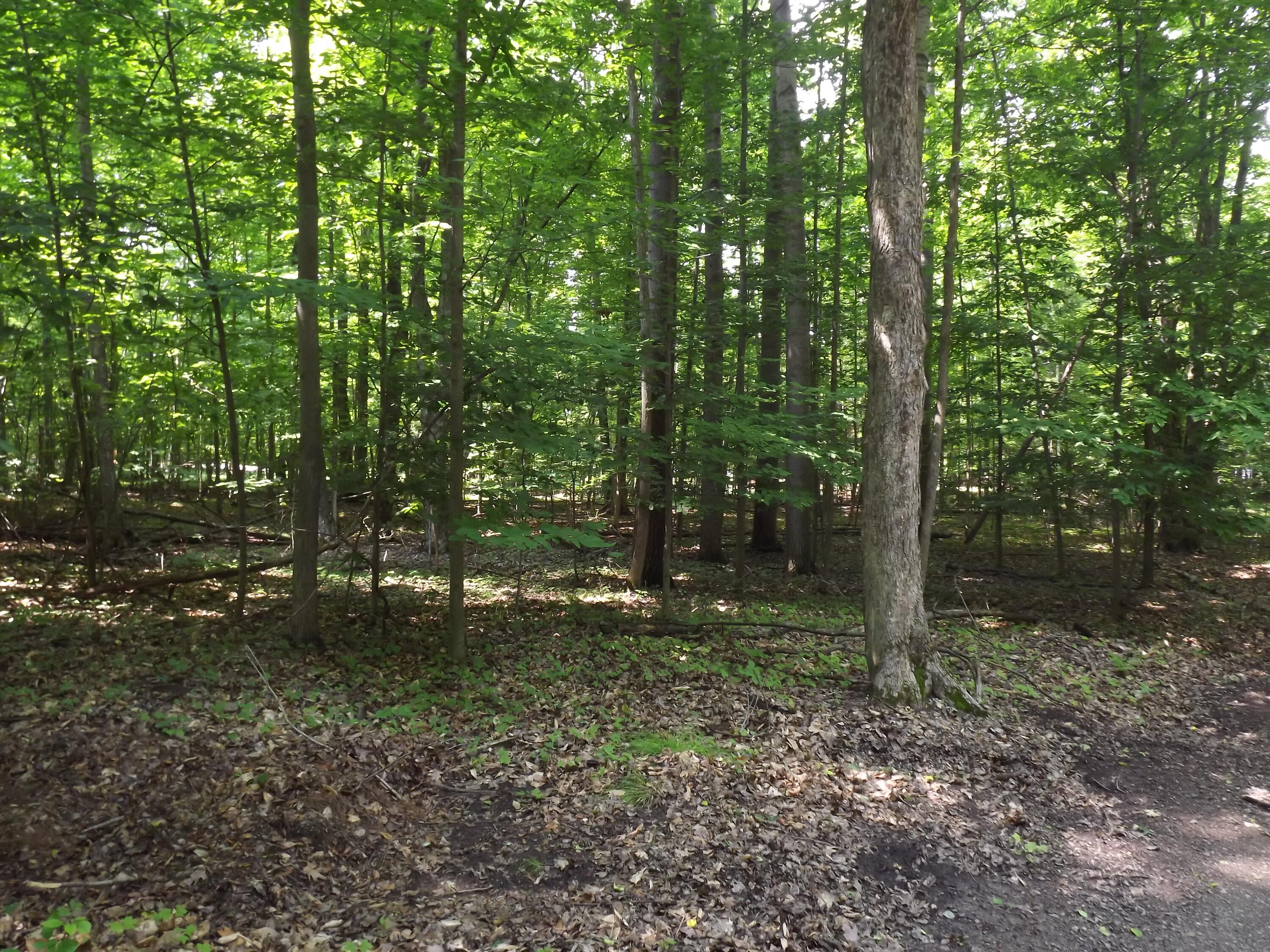 East Mullett Lake Road Indian River, MI 49749 - Photo 13 of 42 Gallery Image 13