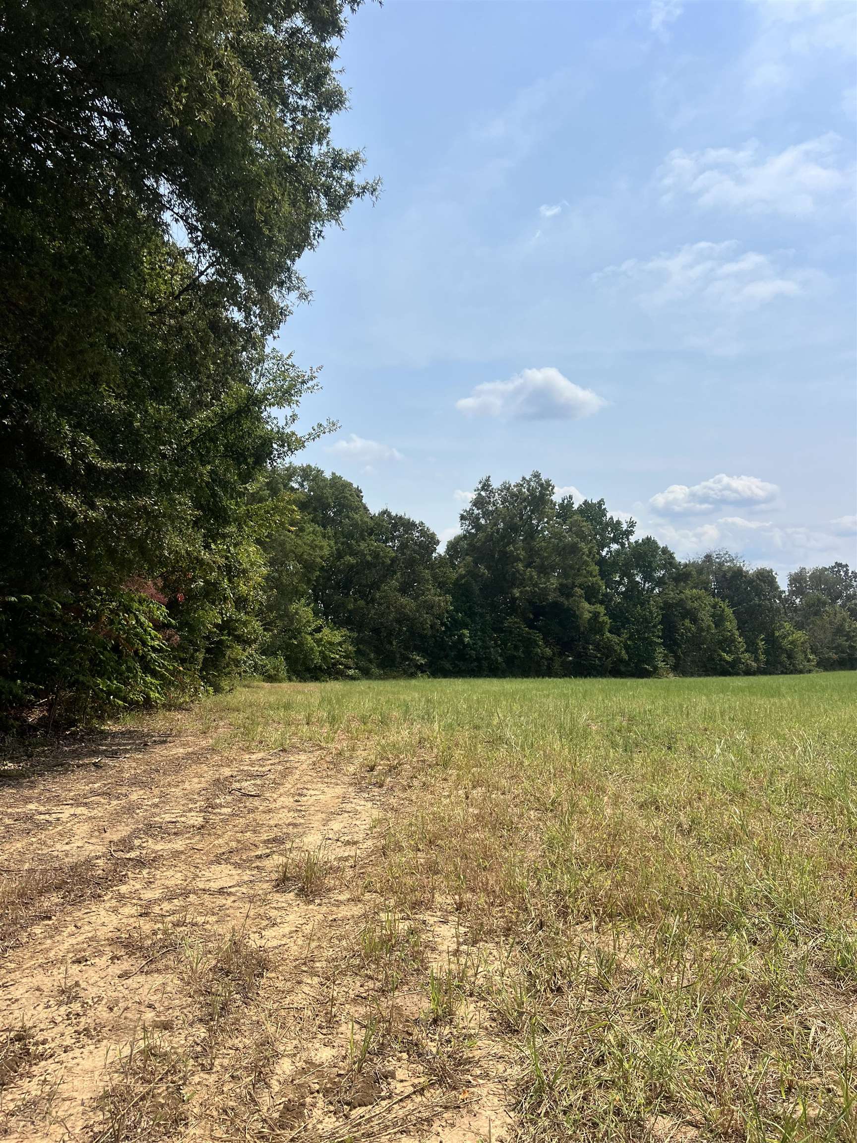 4 Andrew Road Mason, TN 38049 - Photo 1 of 11 View of wooded area featuring a view of rural / pastoral area