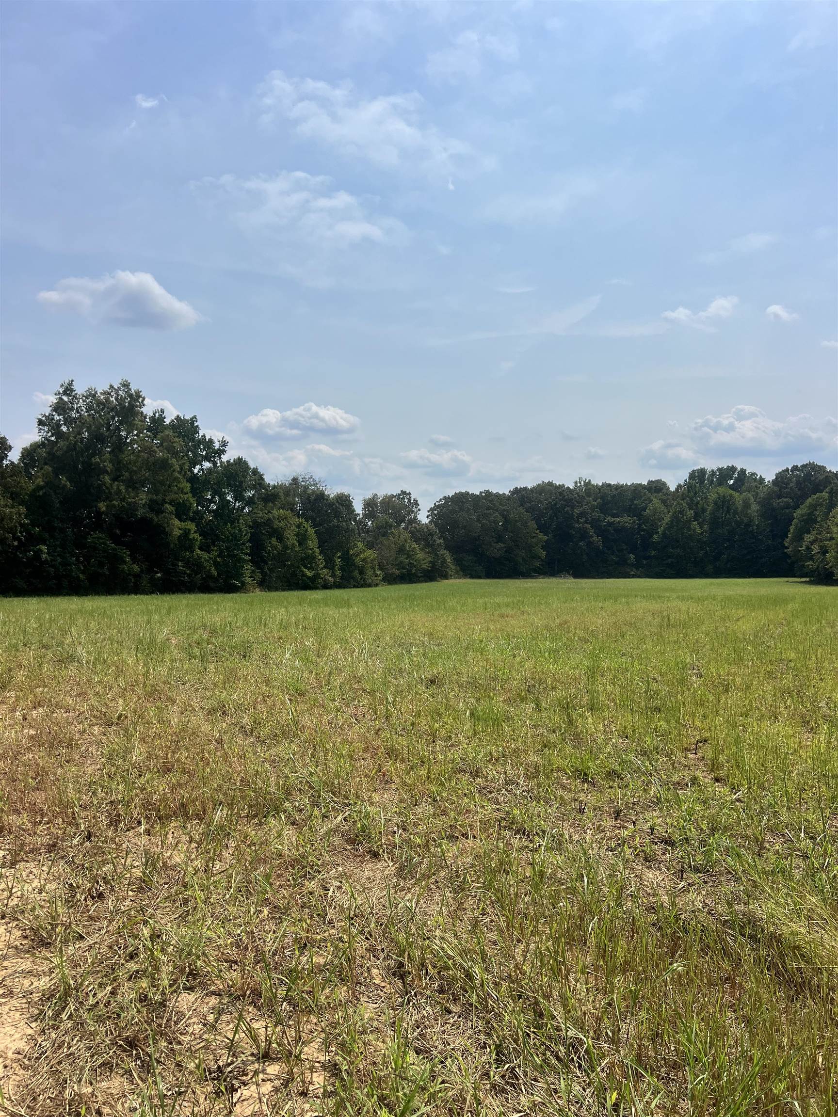 4 Andrew Road Mason, TN 38049 - Photo 11 of 11 View of woods featuring a view of rural / pastoral area