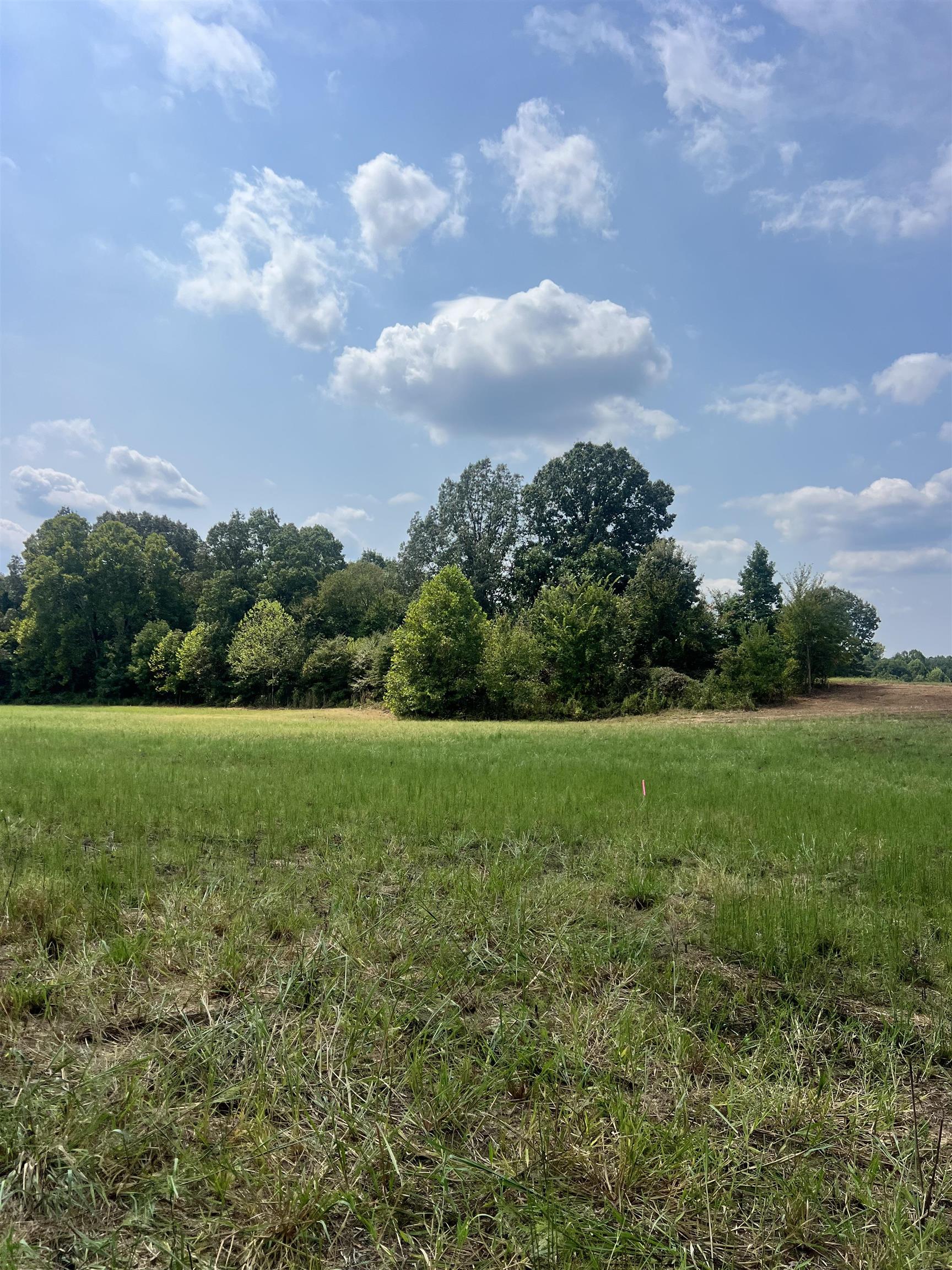 4 Andrew Road Mason, TN 38049 - Photo 7 of 11 View of nature with rural landscape