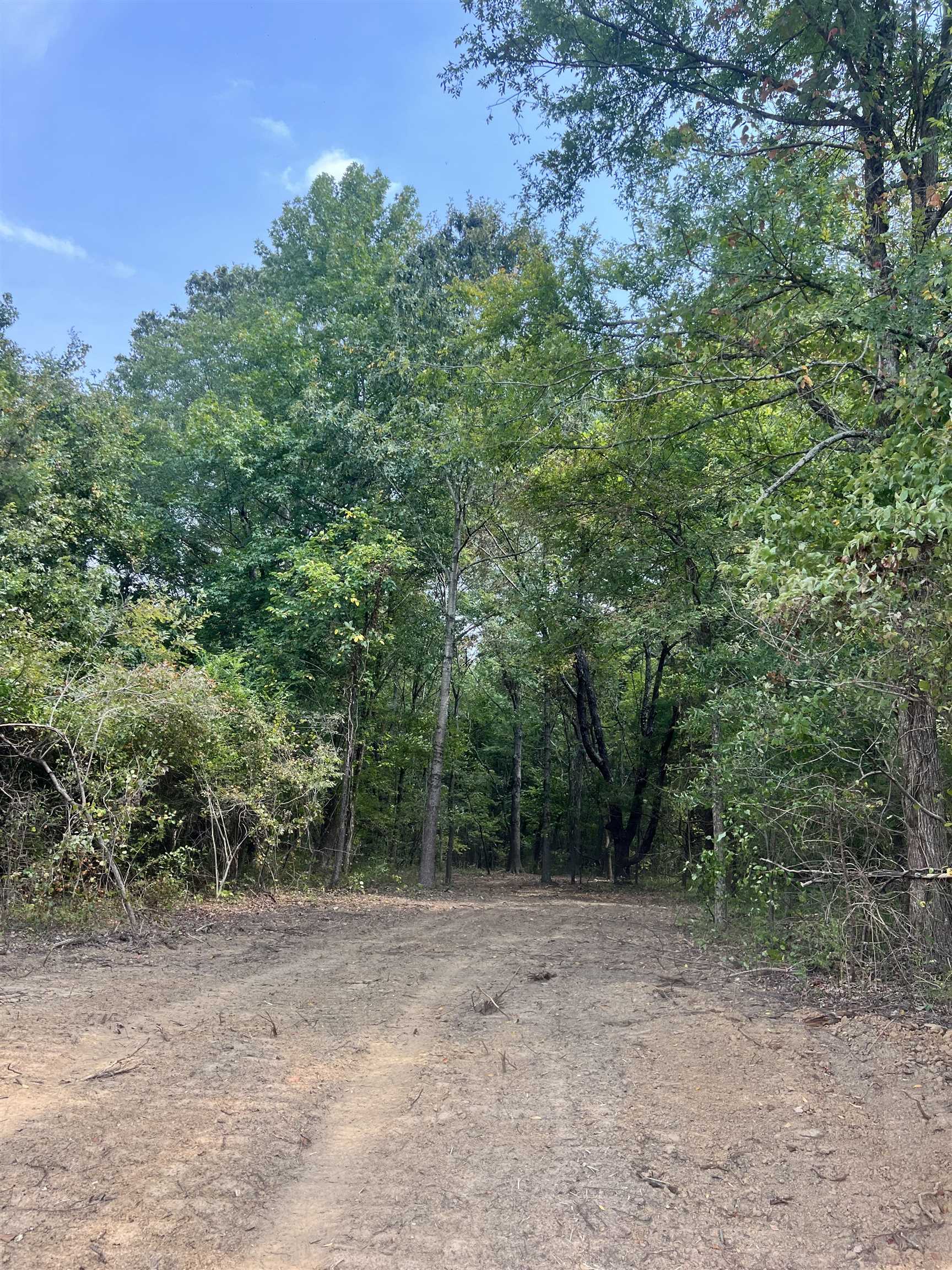 4 Andrew Road Mason, TN 38049 - Photo 8 of 11 View of woods
