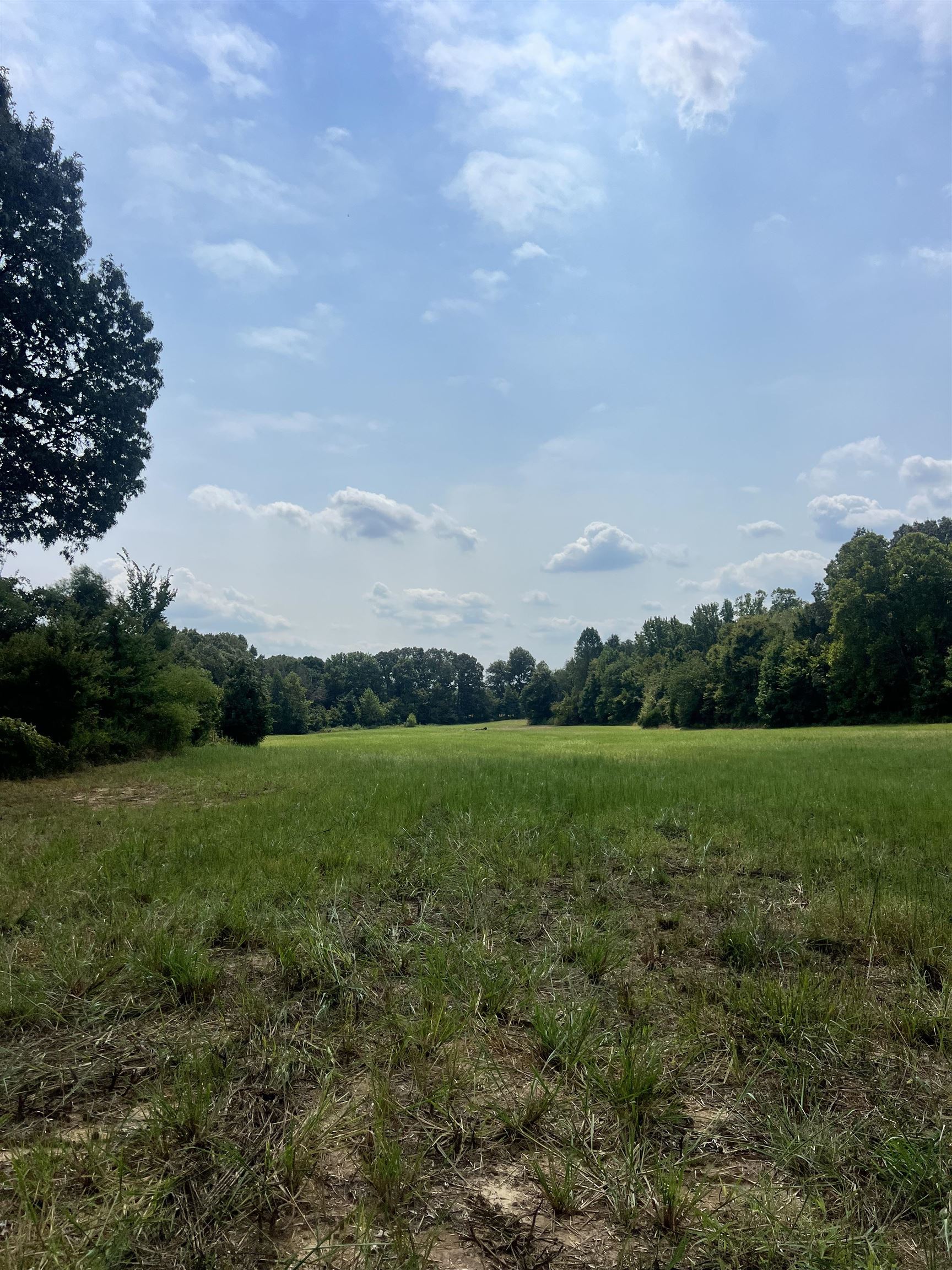 4 Andrew Road Mason, TN 38049 - Photo 9 of 11 a view of field with grass and trees